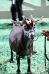 SHR Retirement 4