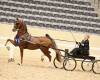 035-003r-KF23-web file
